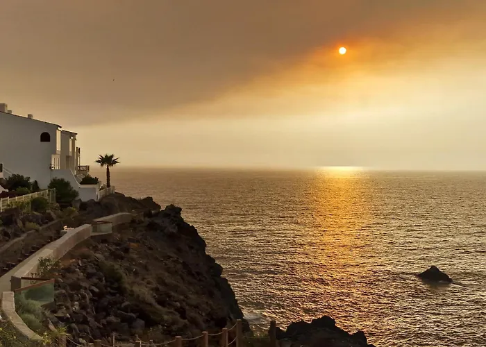 Olivia Sunset *
